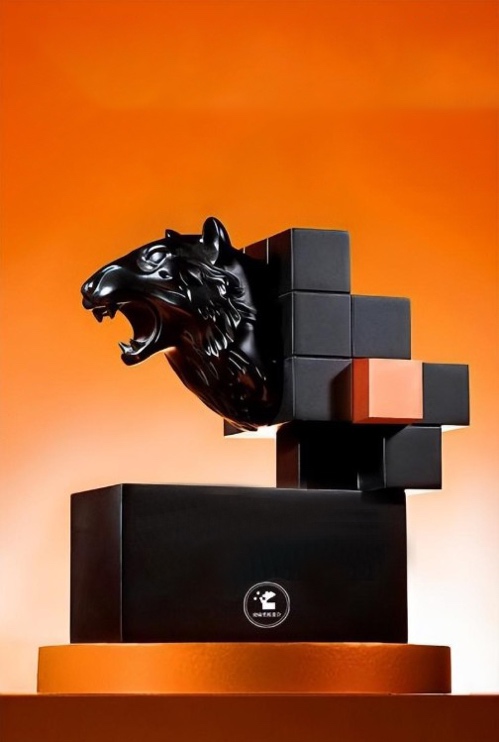 ROI Festival Award